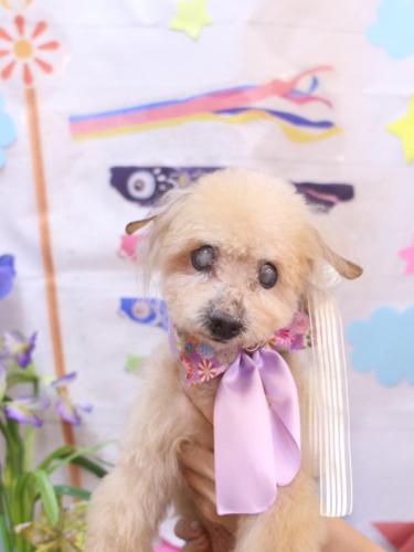 20240521モカくん